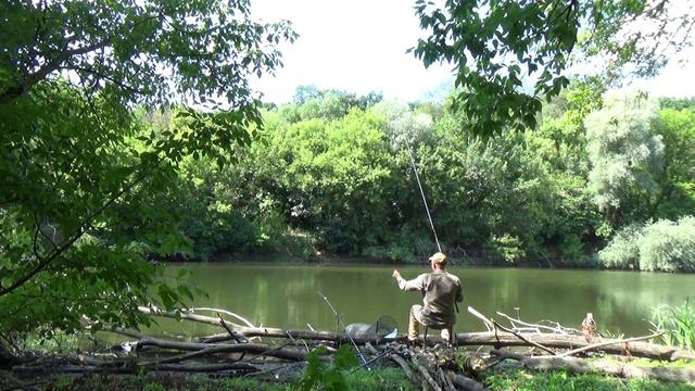 Северский Донец КАРАСЬ 🐟 поплавок это сила💪 смотреть онлайн