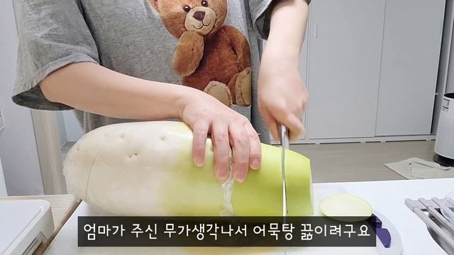 vlog|일주일식비 51,020원, 월급받았다고 식비 플렉스하는 일상???(비빔밥,닭죽,쫄면순두부,치즈오븐파스타) смотреть онлайн