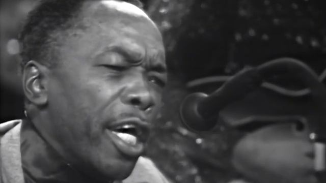 John Lee Hooker - Boom Boom (American Folk Blues Festival, 18th October 1968) смотреть онлайн