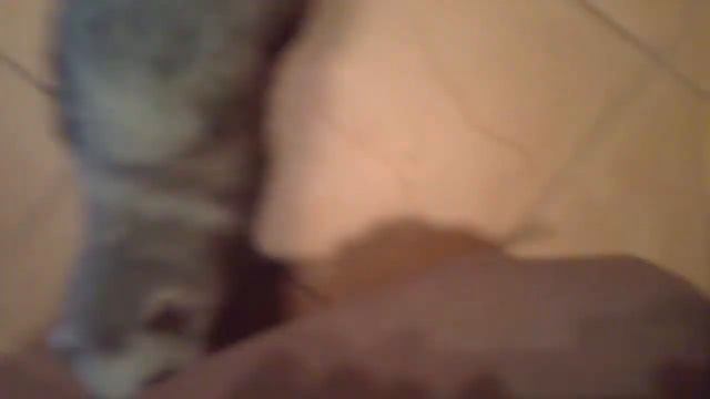 Хорь и обувь смотреть онлайн