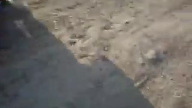 Kaelin getting attacked by huskies смотреть онлайн