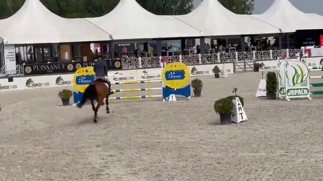 Coridor JT Z - 7 year old half-brother by Cornet Obolensky смотреть онлайн