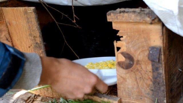 КУПИЛИ ДОМ В ДЕРЕВНЕ. КУРИЦА НЕСУШКА ВЫСИДЕЛА ЦЕПЛЯТ. УТКА ТОЖЕ ПОСТАРАЛАСЬ смотреть онлайн