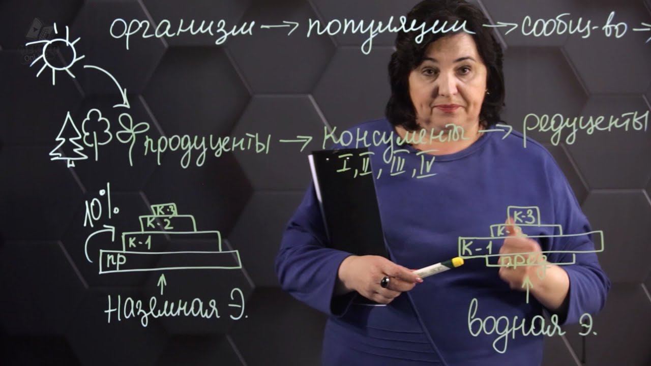 Компоненты экосистемы. Водные и наземные экосистемы. 8 класс. смотреть онлайн