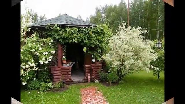 Озеленение ландшафтного дизайна вьющимися растениями смотреть онлайн