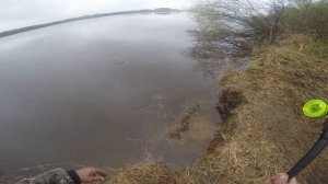 Ловля плотвы на полудонку на Волге, видео rybachil.ru