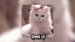 Артём Кей-Кискисмяумяу (speed up)