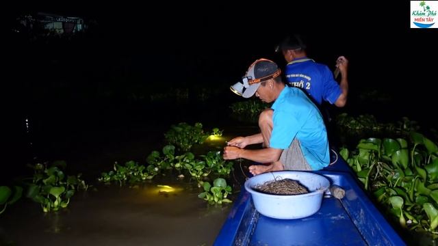 640 | Giăng câu cá trê về nhúng cơm mẻ | Fishing смотреть онлайн