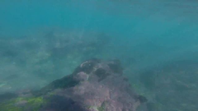 Snorkeling - Nahoon Reef - Diving - East London - Eastern Cape - South Africa смотреть онлайн