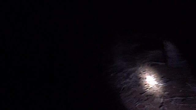 24 часа в лесу. полу выживание ) ночная рыбалка смотреть онлайн