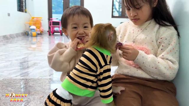 Monkey Kaka + Diem and Quynh were happy to reunite with parents смотреть онлайн