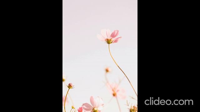 die young смотреть онлайн