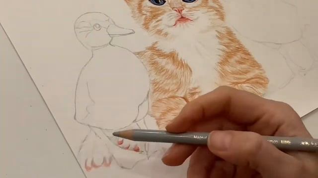 Как нарисовать котика.Цветными карандашами. Пошагово.Для начинающих.How to draw animals. смотреть онлайн