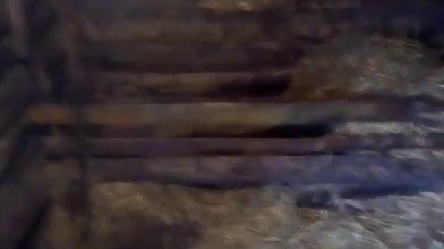 Замена дорогим кормам/ жизнь в деревне смотреть онлайн