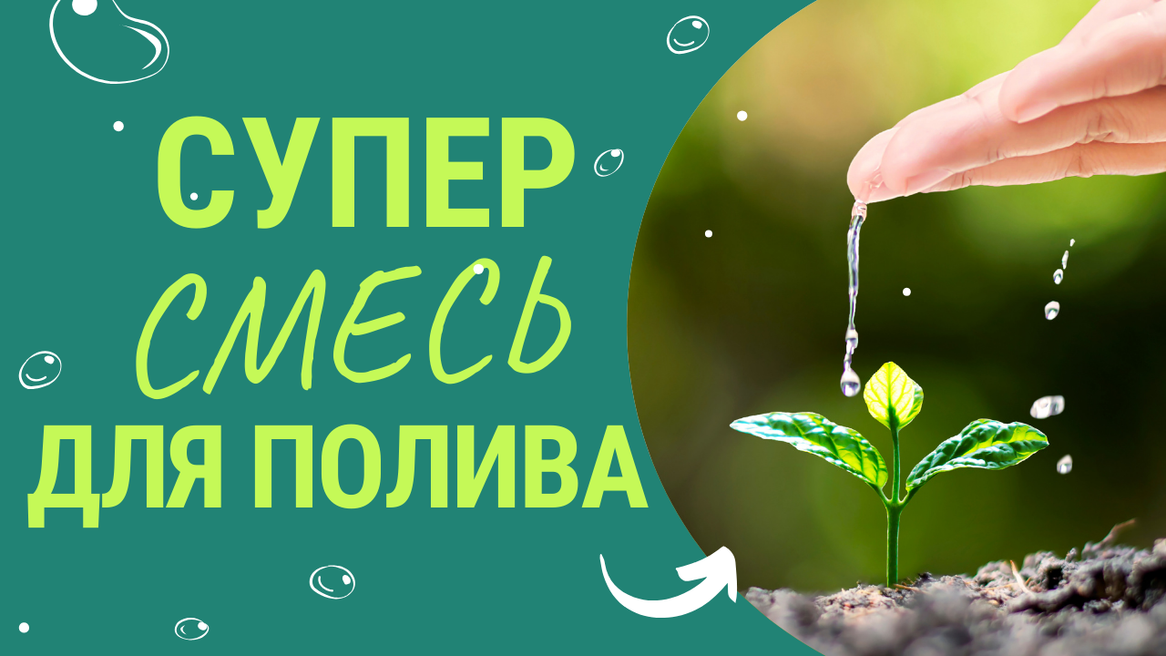 Супер смесь для полива 💦. Растения мгновенно усвоят калий, кальций и фосфор из золы. смотреть онлайн