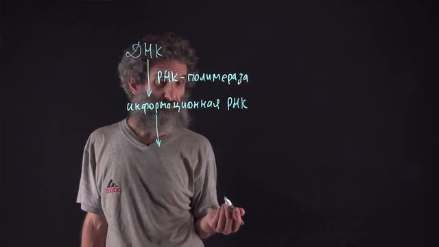 Цитология. Лекция 28. Передача информации в клетке смотреть онлайн