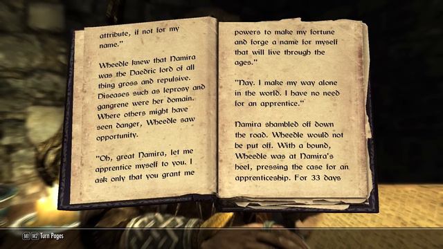Skyrim Books 9 : Beggar Prince смотреть онлайн