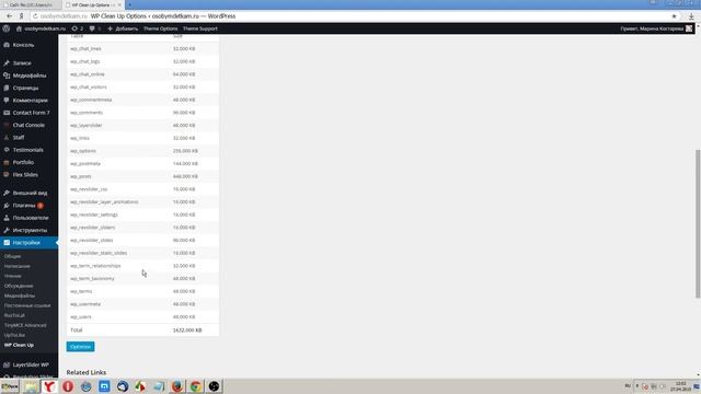 04 Администрирование сайта Wordpress. Как удалить «ревизии»? смотреть онлайн