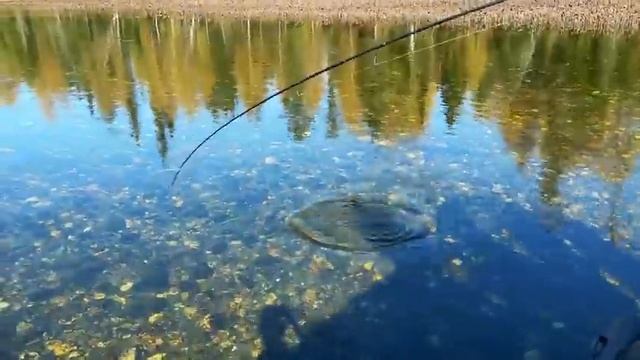 СЕВЕР края | РЫБАЛКА ГОДА | бензина НЕТ!! ДОЛГИЙ ПУТЬ | Часть вторая смотреть онлайн