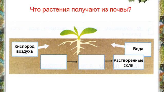 Почва