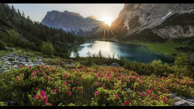 epic cinematography/cinematic background music ?#ncs no copyright music nikon d5300 смотреть онлайн