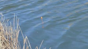 Рыбалка на каналах в Темрюке