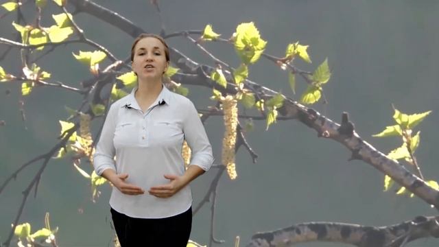 Всемирный день поэзии смотреть онлайн