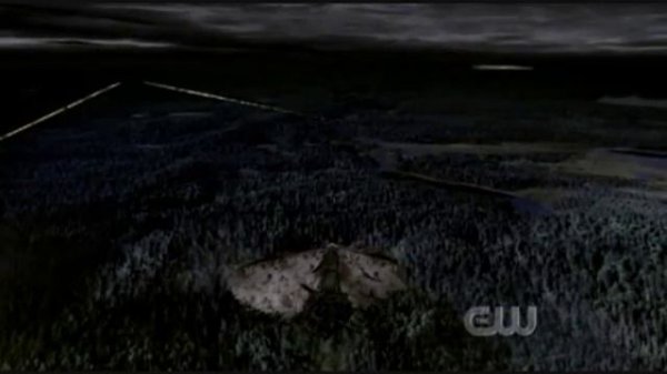 Supernatural Music Video - Crossfire by Brandon Flowers