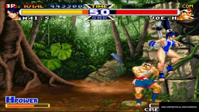 ACA NEOGEO REAL BOUT FATAL FURY SPECIAL