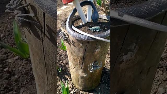 Дом, сад, огород. Хорошее настроение. А какое настроение у вас? смотреть онлайн