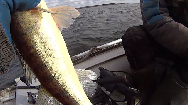 Маленький Твистер спас ,нашу рыбалку. смотреть онлайн