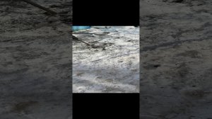 VID_20240310_133526.mp4