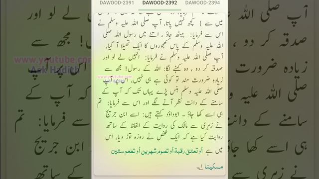 Sunan Abu Dawood (Hadees No. 2313 to 2476) ki Urdu Translation | سنن أبي داؤد (By Ask Hadith) смотреть онлайн