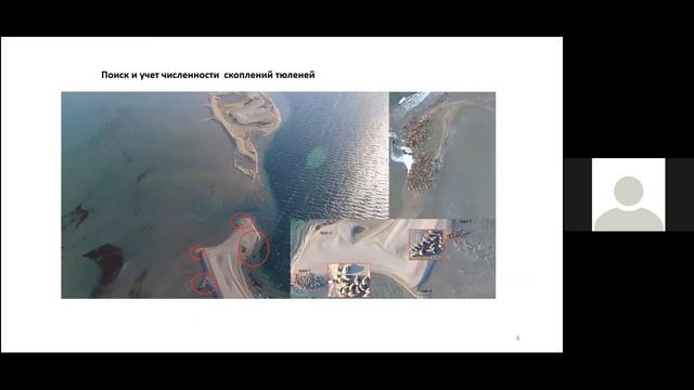 Баймуканов Миргалий "Природный резерват для сохранения исчезающего каспийского тюленя" (RUS) смотреть онлайн