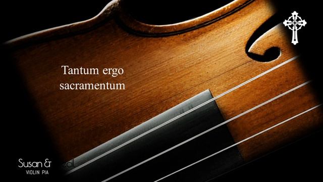 Tantum ergo sacramentum (J. S. Bach) - Organ/Violin Cover смотреть онлайн