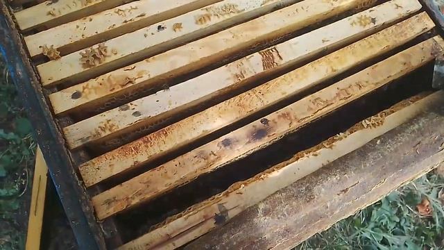 Пасека 5 сентября. Дадан смотреть онлайн