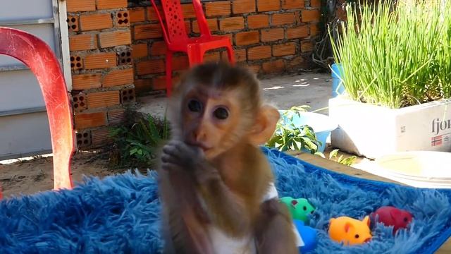 So smart baby Avatar wait for mom change new diaper before milk смотреть онлайн