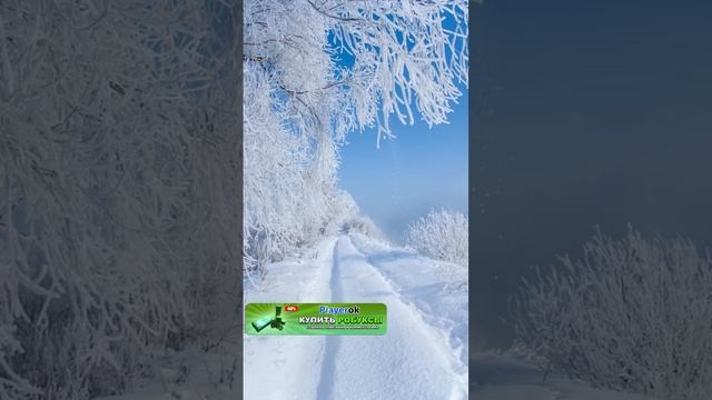 Разоблачение чудо чая в роблокс #роблокс #roblox #квин #роблоксквин #чудочай смотреть онлайн