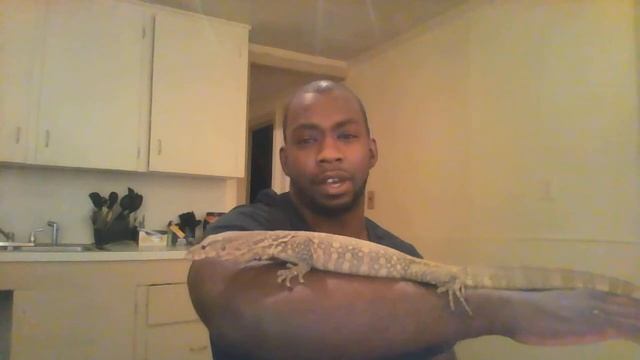 water monitor update 9 months old смотреть онлайн