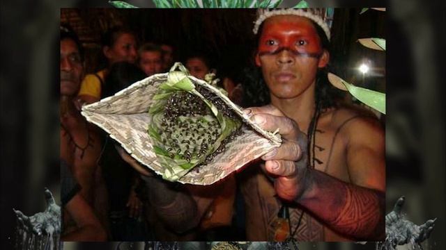 Ритуалы и жертвоприношения различных народов №1 смотреть онлайн