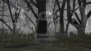 Песня Журавли на немецком языке