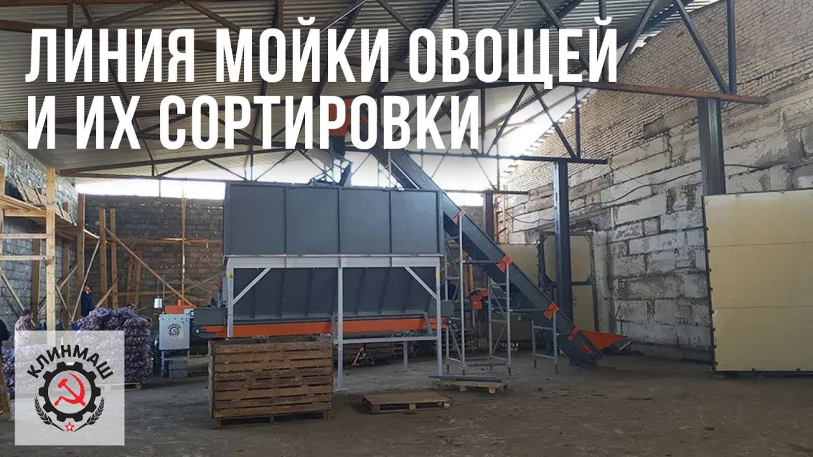 Линия мойки овощей и их сортировки