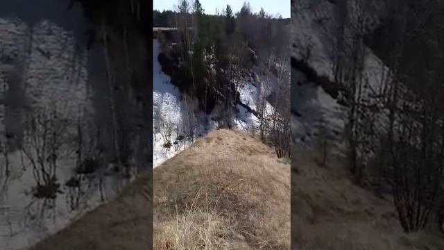 Троицкий район. Сбор сосновой почки. смотреть онлайн