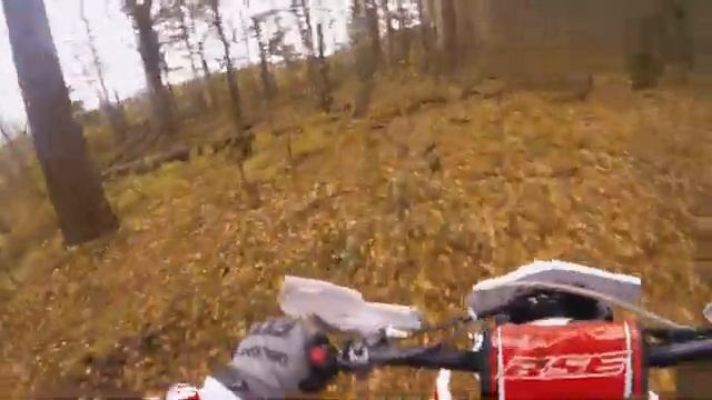 VLOG. 16 | BSE Z5 WSR 250 Yamaha WR250F - Тот берег. Бревна. Крутой лес. смотреть онлайн