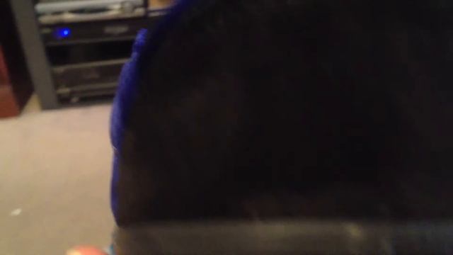 VANS x Supreme Era Pro - (Velvet) Blue colorway - 9-20-13 смотреть онлайн