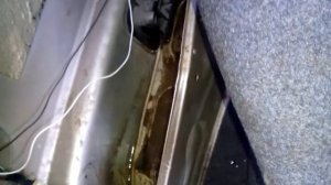 вода в багажнике пассат б3
