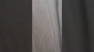 пароочиститель Dexp