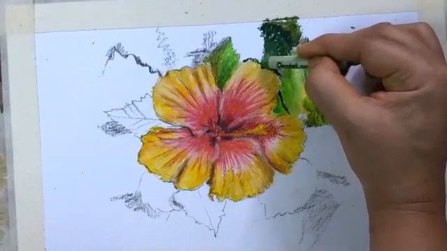 Hibiscus flower- Oil pastel painting смотреть онлайн