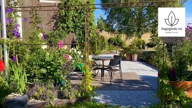 Klatreplanten klematis смотреть онлайн