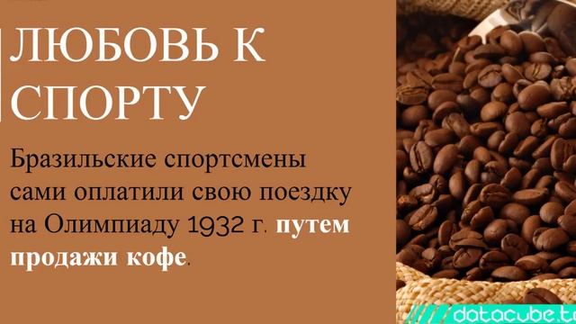13 интересных фактов о Бразилии и ее достопримечательностях смотреть онлайн